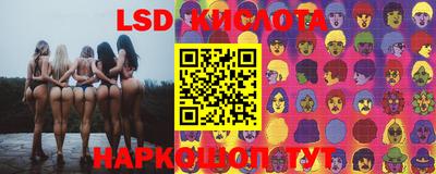 ешки Сланцы